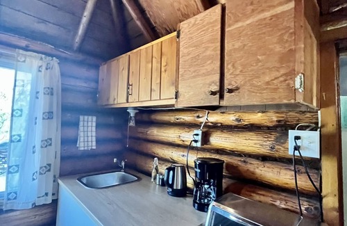 Sioux Narrows Nestor Falls Cabin | Unique 1929 Lakeside Cabin with shared hot tub and sauna!
