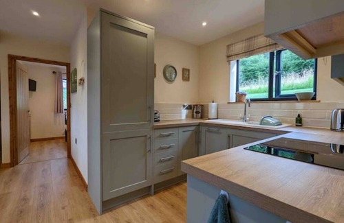 Presteigne Cabin | Unique 3 bed cabin with hot tub on Welsh border.