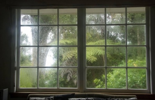 Piha Cottage | Unique Bush Hide
