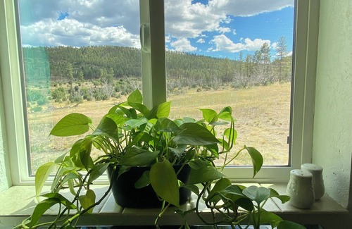 Eagar Cabin | Unique cabin nestled in a hidden pasture in beautiful Nutrioso, AZ.