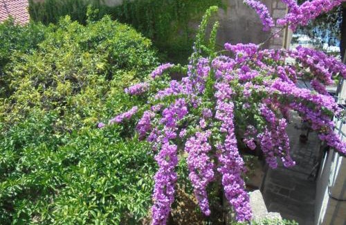 Cavtat Old Town Apartment | Unique Cavtat Center Apartment