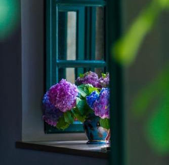 Cavtat Old Town Apartment | Unique Cavtat Center Apartment