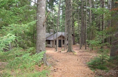 Southwest Harbor Cabin | Unique Cove Side Cabin on Somes Sound Next to Babbling Brook