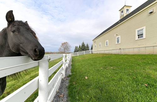 Geneva House | Unique Finger Lakes Converted Horse Barn w/Patio!