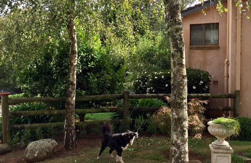 Wildes Meadow Other | Unique self-contained farm stay in the picturesque Southern Highlands