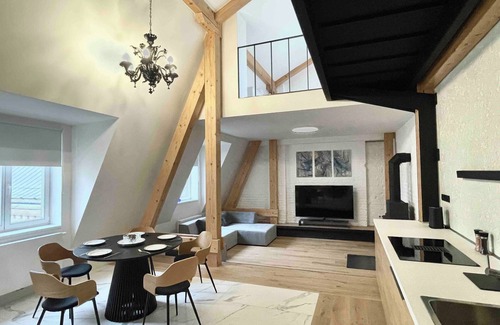 Ostrava City Centre Apartment | Unique SkyLoft with Ostrava view, adults only