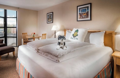 University District House | University Inn King Room, Complimentary Bikes, Near Husky Stadium