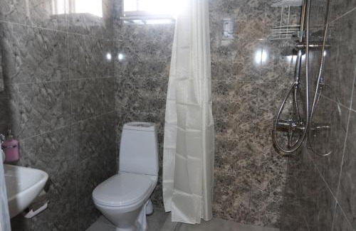 Dmanisi Hotel | Unofficial page