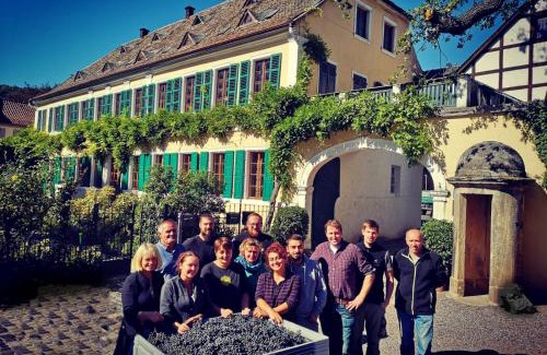Bad Duerkheim Apartment | Unterkunft im Weingut Fitz-Ritter