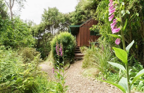 Little River Cottage | Unwind and relax amongst stunning native bush