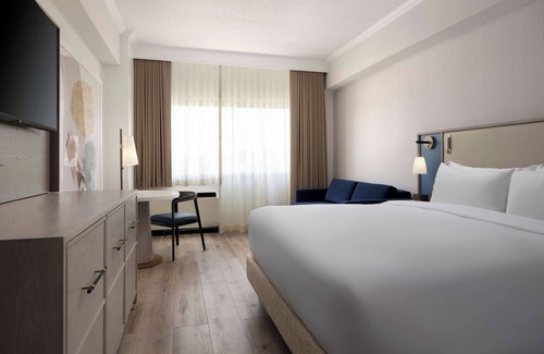 White Plains Hotel | Unwind in Pet-Friendly King Room Near White Plains Train Station