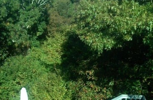 Aquinnah House | Up-Island Treehouse with Roofdeck and Waterviews