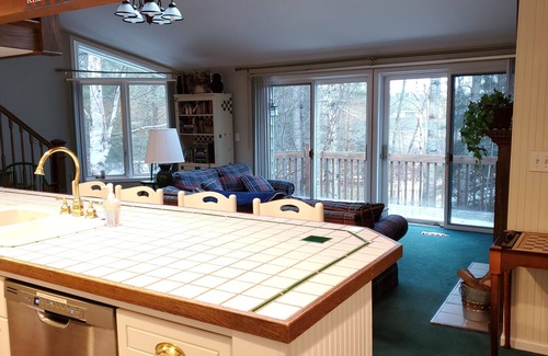 Petoskey Condo | Up north getaway!