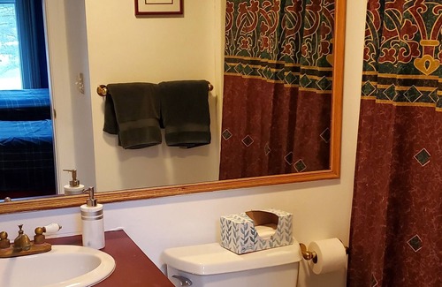 Petoskey Condo | Up north getaway!