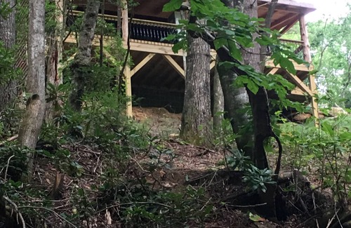 Deep Gap House | “Up The Creek” Cabin