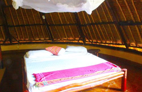 Galu Beach Bed & Breakfast | Upani in Diani