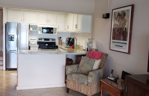 Honokowai Condo | Updated Ocean View 2br/2ba Oceanfront Condo with Sand Beach