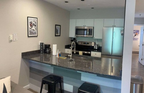 Crested Butte Condo | Updated Ski-in/Ski-out Condo in the heart of MT CB