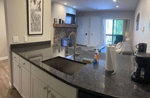 Crested Butte Condo | Updated Ski-in/Ski-out Condo in the heart of MT CB