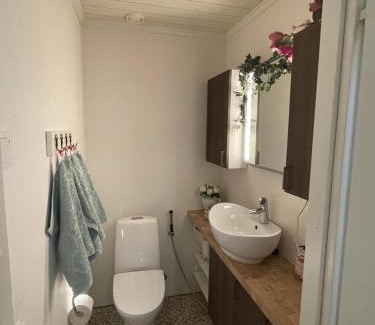 Lahti Apartment | Upea huoneisto kaupungissa, A magnificent apartment in downtown Lahti