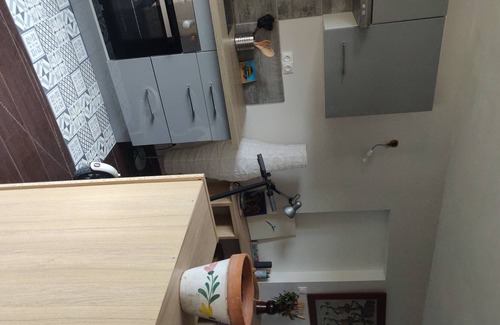 Toulouse South-East Apartment | UPPER RANGUEIL STUDIO WITH TERRACE