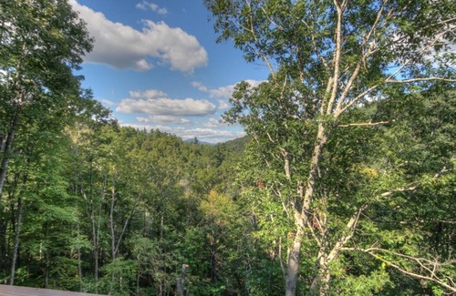 Boone Ski Chalet | Upscale Mountain Home in Forested Area