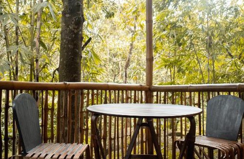 Vayittiri Resort | Uravu Bamboo Grove Resort