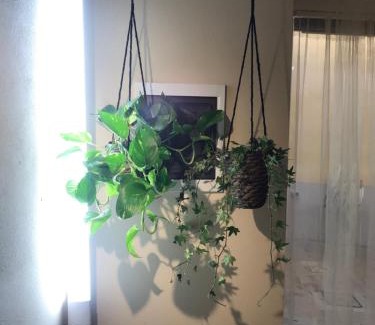 Reggio nell'Emilia Apartment | Urban study