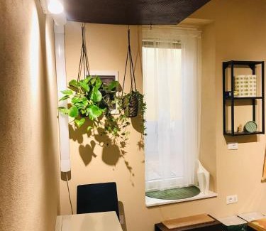 Reggio nell'Emilia Apartment | Urban study