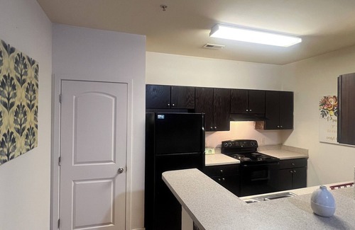 Charlotte Apartment | Urban Uptown condo