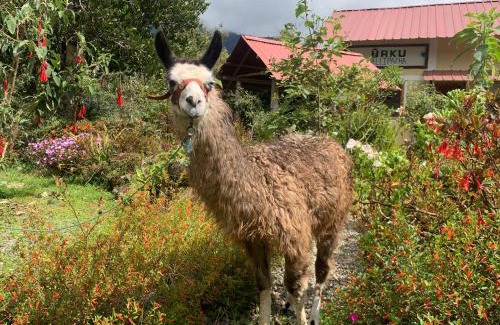 Banos de Agua Santa Ski Chalet | URKU ALLIPACHA Mountain Retreat w/Organic Garden