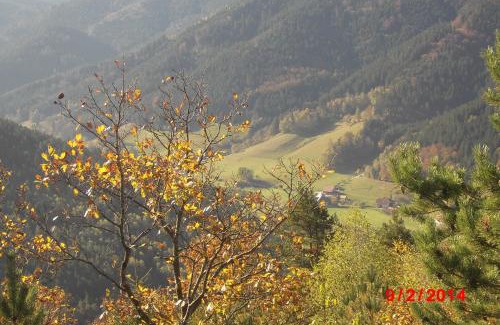 Elzach Apartment | Urlaub auf dem Hänslehof