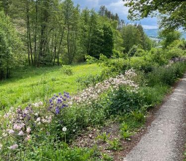 Diemelsee House | Urlaub mit der ganzen Familie im Ferienhaus in der Natur