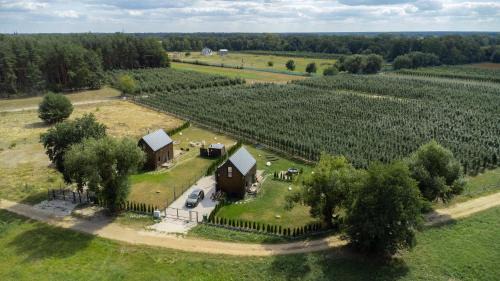 Warka House | Uroczysko Pilica