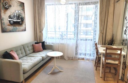 Pipera Apartment | US Embassy & ZOO Baneasa - Privighetorilor Studio