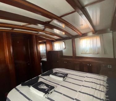 Bodrum City Center Boat Rental | Usta-k
