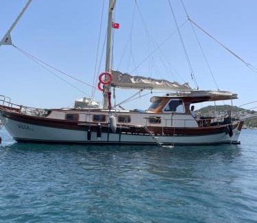 Bodrum City Center Boat Rental | Usta-k