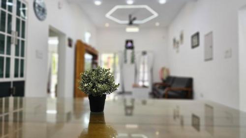 Udumbanchola Apartment | Uthuppan's Bedroom with the waterfall view