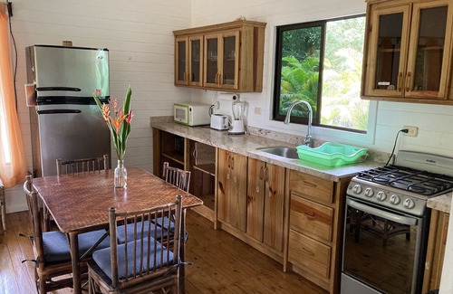 Ballena House | Uvita House, Private Big Pool, 5 min drive to the beach, 3bdr, Mtn Jungle View.