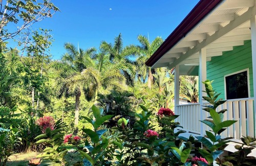 Ballena House | Uvita House, Private Big Pool, 5 min drive to the beach, 3bdr, Mtn Jungle View.