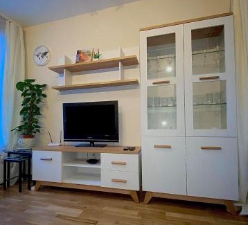 Cesis Apartment | Vaļņu Ielas Apartments