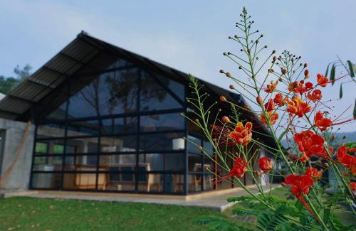 Elappara Resort | VAASTA Vagamon