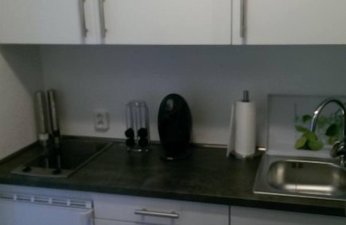 Schoenwald Apartment | Vacation apartment in the Black Forest with swimming pool, sauna and WLAN