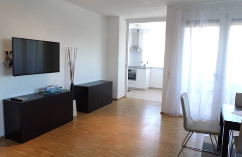 Endingen am Kaiserstuhl Apartment | Vacation apartment F6 with balcony, 100sqm, 2 bedrooms, max. 6 persons