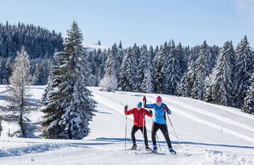 Feldberg Apartment | Vacation apartment/apartment for 4 guests with 90m² in Feldberg (Black Forest) (162883)
