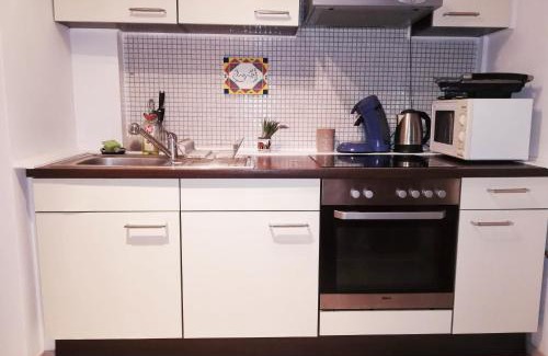 Villingen-Schwenningen Apartment | Vacation Apartment In the Black Forest