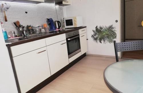 Villingen-Schwenningen Apartment | Vacation Apartment In the Black Forest