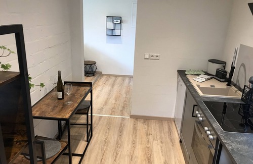 Hattstedtermarsch Apartment | Vacation apartment - Marschkieker - Kleiner Deichhof - 1 bedroom - 50 m² - directly on the dike