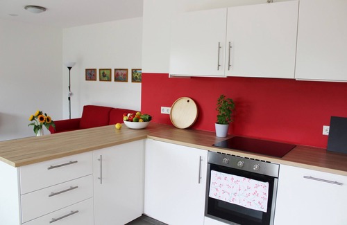 Bad Bergzabern Apartment | Vacation apartment at the Rebmeer (Pfalzcard participant)