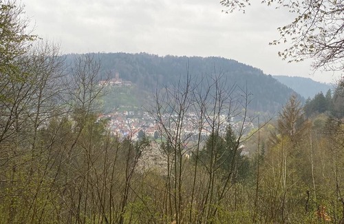 Bad Liebenzell Apartment | Vacation apartment/apartment for 3 guests with 60m² in Bad Liebenzell (186299)